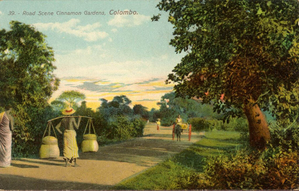 කුරුඳුවත්ත