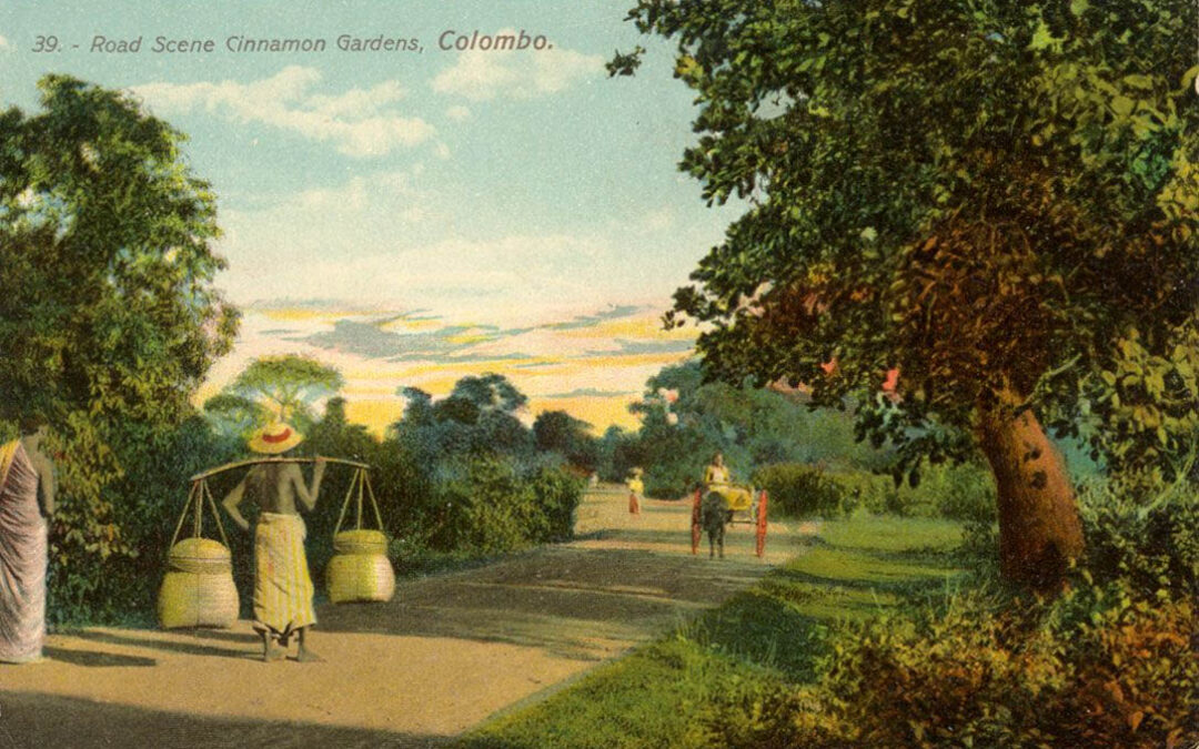 කොළඹ හදවතේ සුවඳවත් අතීතය – කුරුඳුවත්ත