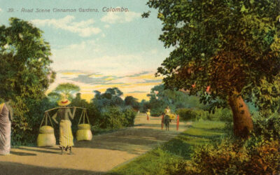 කොළඹ හදවතේ සුවඳවත් අතීතය – කුරුඳුවත්ත